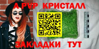 шишки Аргун