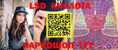 шишки Аргун
