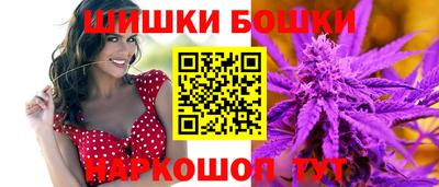 шишки Аргун