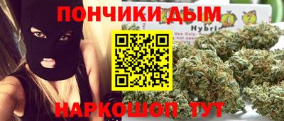 шишки Аргун