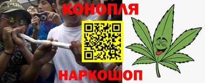 шишки Аргун