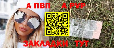 шишки Аргун