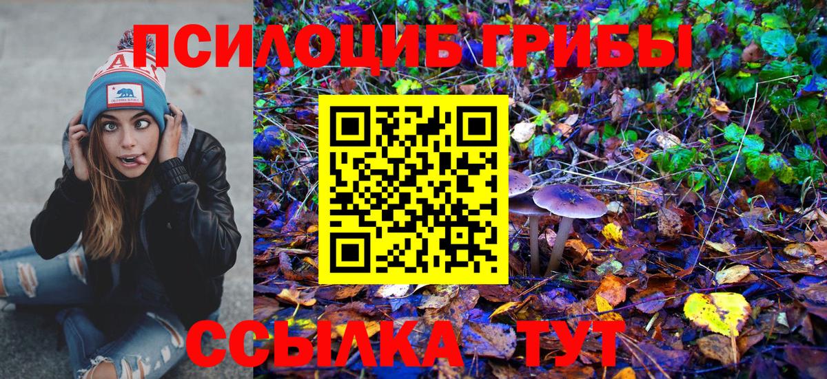 Псилоцибиновые грибы ЛСД  Вход с VPN  купить   Галлюциногенные грибы Magic Shrooms  Благодарный 